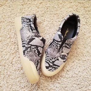 3.1 Phillip Lim snakeskin slip ons